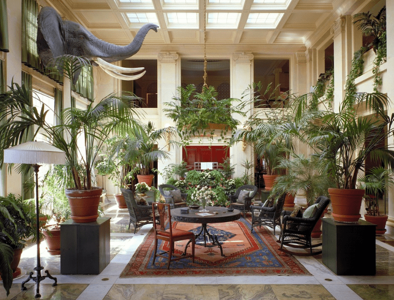 various indoor plants